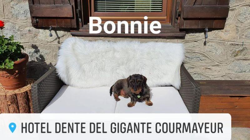 Hotel Dente Del Gigante Courmayeur Kültér fotó